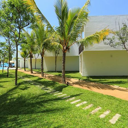 Arugambay Roccos Hotel Baía de Arugam Exterior foto