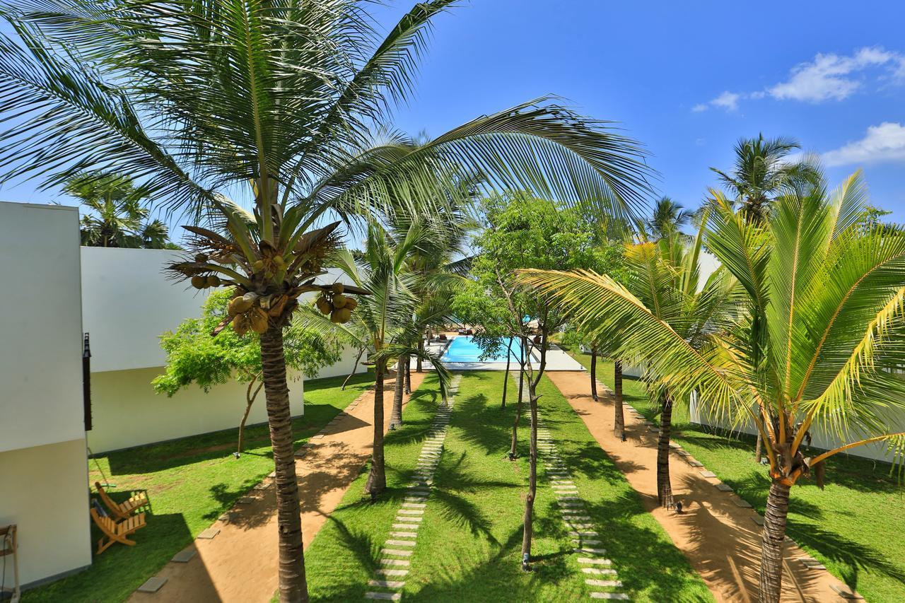 Arugambay Roccos Hotel Baía de Arugam Exterior foto